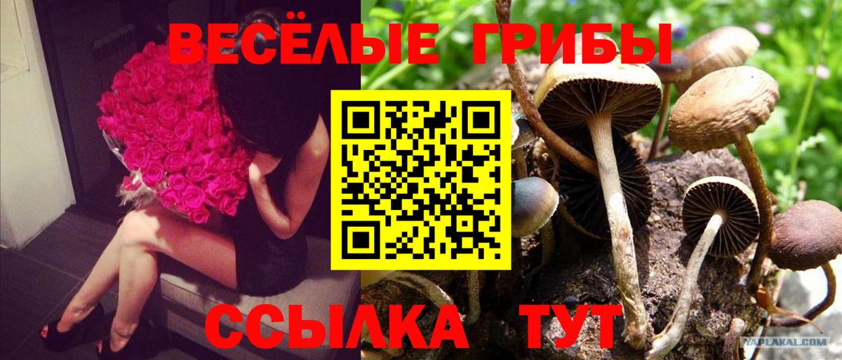 Уварово  Галлюциногенные грибы MAGIC MUSHROOMS  Вход с VPN 